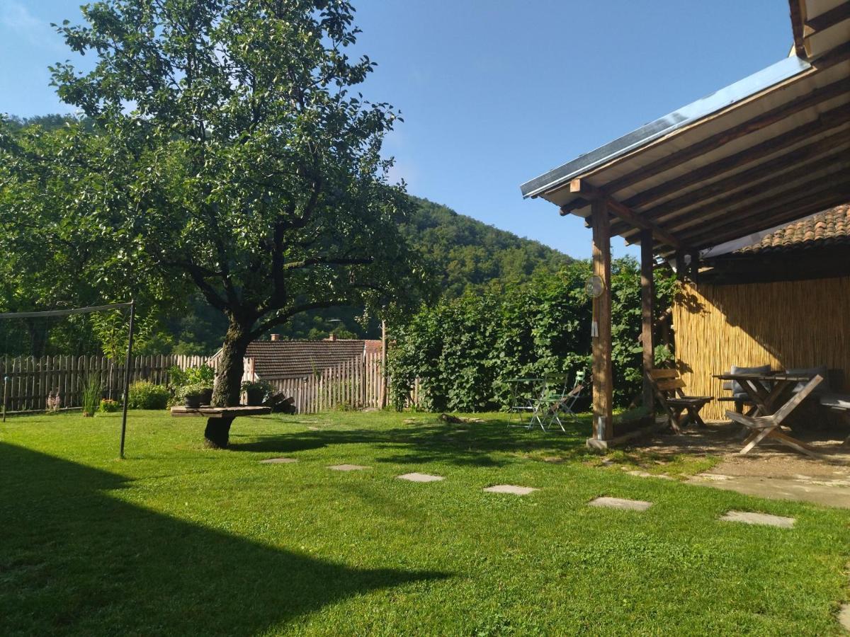 Konak Garavi sokak Kursumlija Kültér fotó